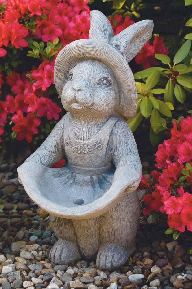 Mrs. Bunny Rabbit Sold in a pair this is the image of the female.