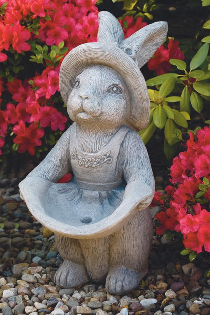 Mrs. Bunny Rabbit Sold in a pair this is the image of the female.