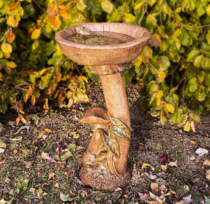 Mushroom Cement Birdbath with Frog