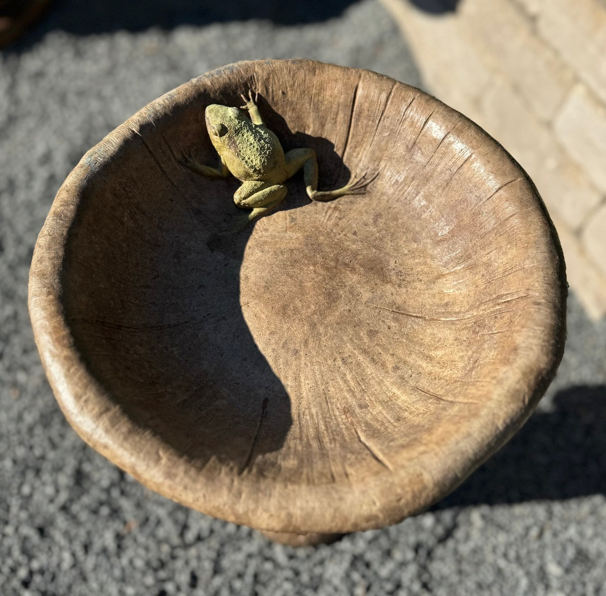 Whimsical frog birdbath for woodland garden realistic toad in basin