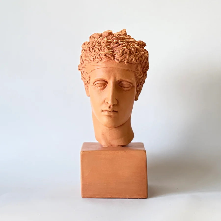  Perseus Art Grade Plaster Bust  shown in Terracotta