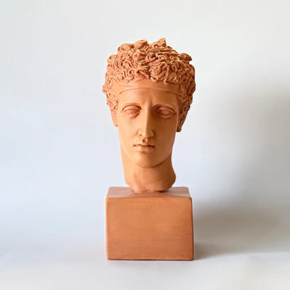  Perseus Art Grade Plaster Bust  shown in Terracotta