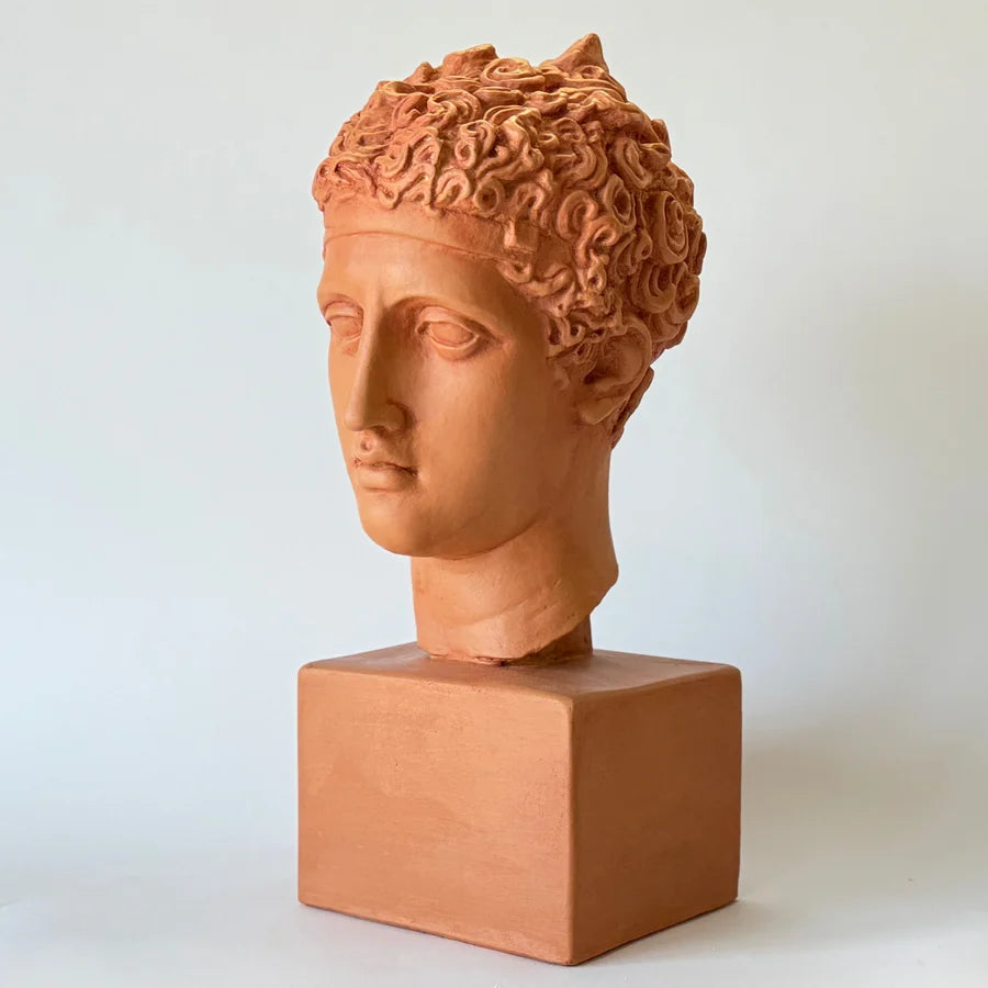  Perseus Art Grade Plaster Bust  shown in Terracotta who slayed Medusa