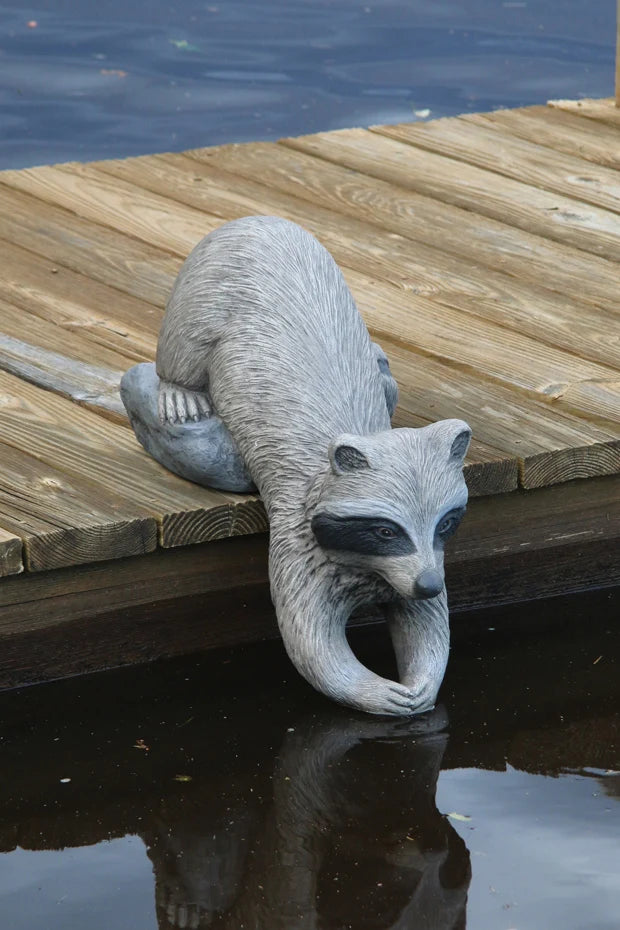 Curious raccoon dockside garden statue reaching toward pond water