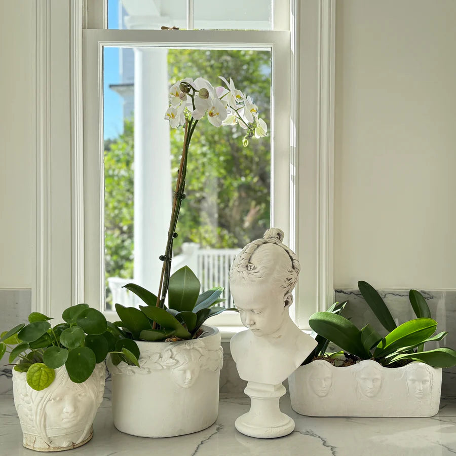 Decorative white bust and potted plants in front of a window with a view of greenery.