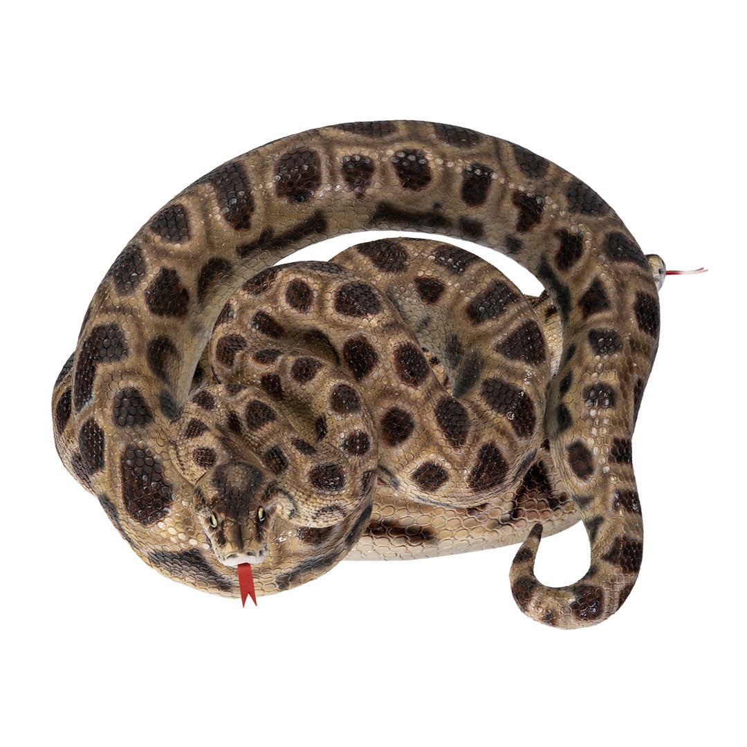 Coiled boa constrictor decorative statue realistic display sculpture