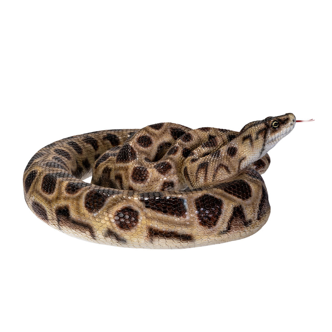 Side View of snake Coiled boa constrictor decorative statue realistic display sculpture