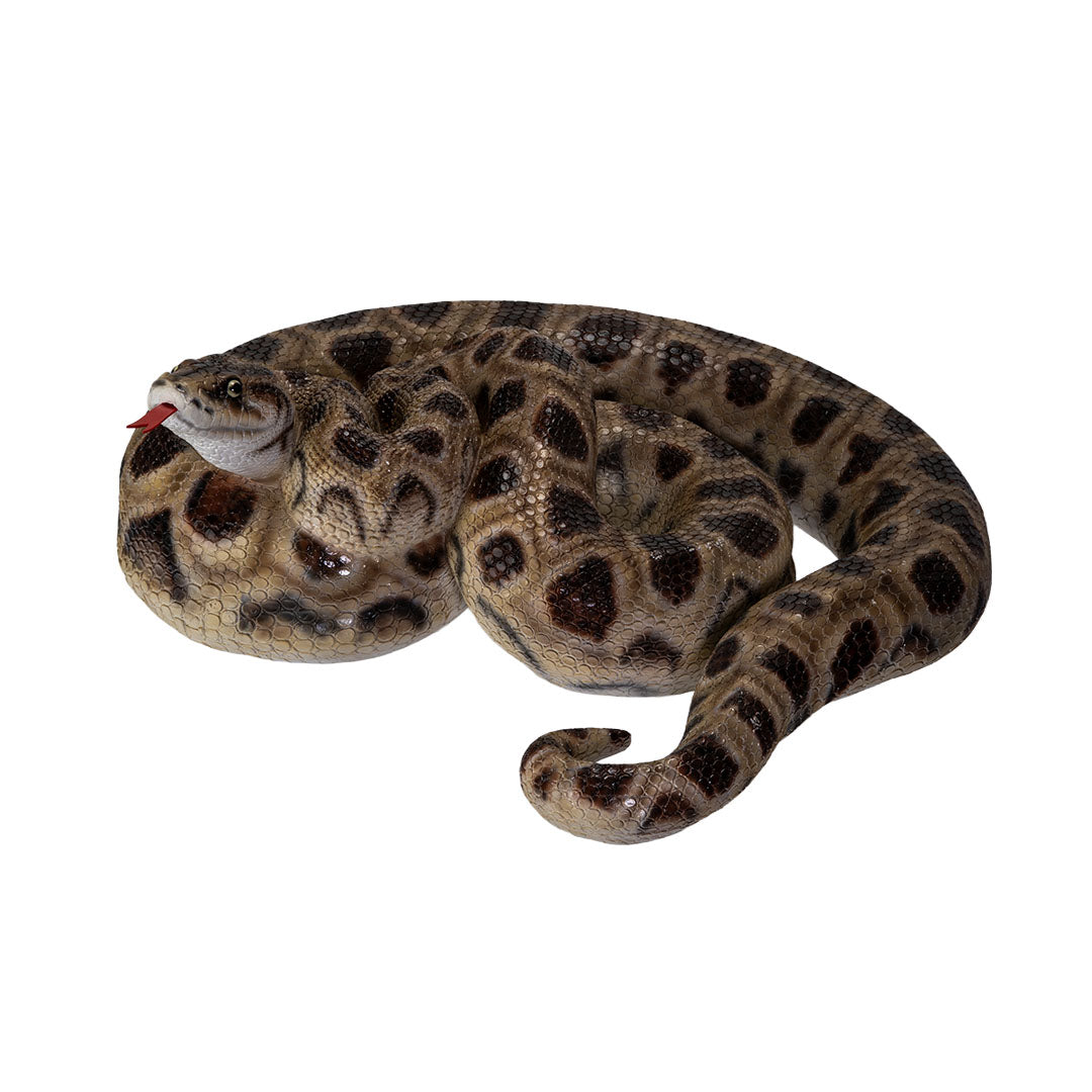 Realistic boa snake sculpture coiled reptile statue