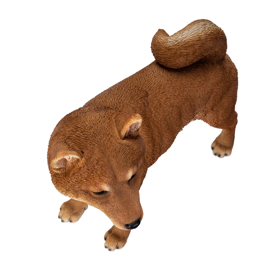 Top view of dog sculpture Japanese Shiba Inu life like statue curling tail