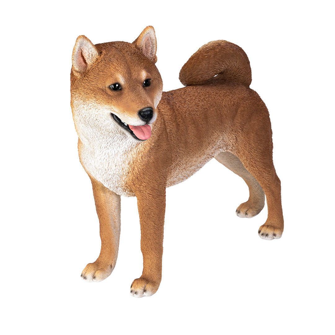 Life like Shiba Inu statue with detailed coat and alert expression