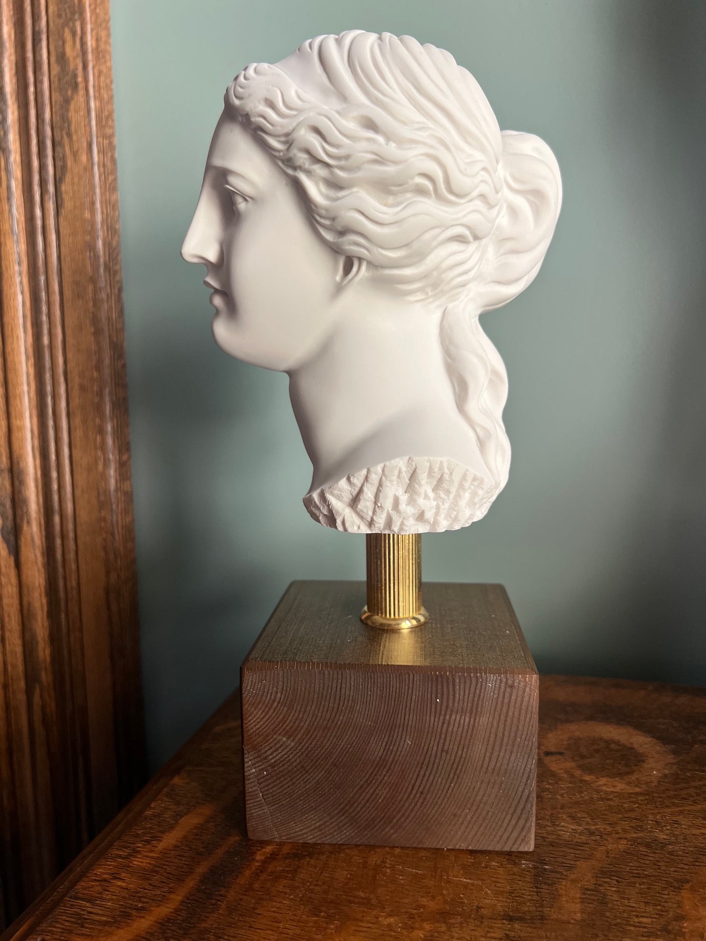 Side view Aphrodite Venus de Milo Roman Goddess Bust Marble Head Greek 