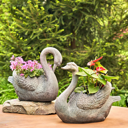 Tall  big swan planter set with head up and head down garden sculptures holding flowers