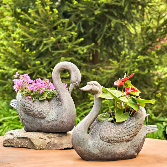 Tall  big swan planter set with head up and head down garden sculptures holding flowers
