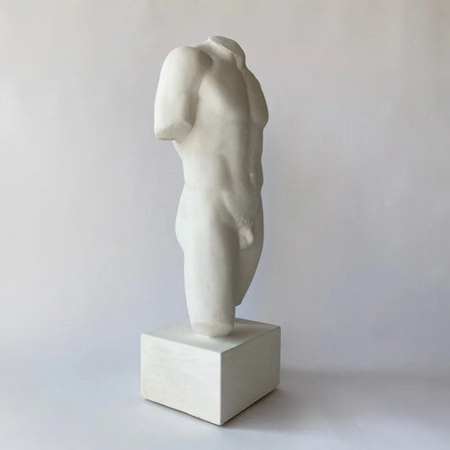Side Torso male nude of Antiquity physique drawing study artist cast statue