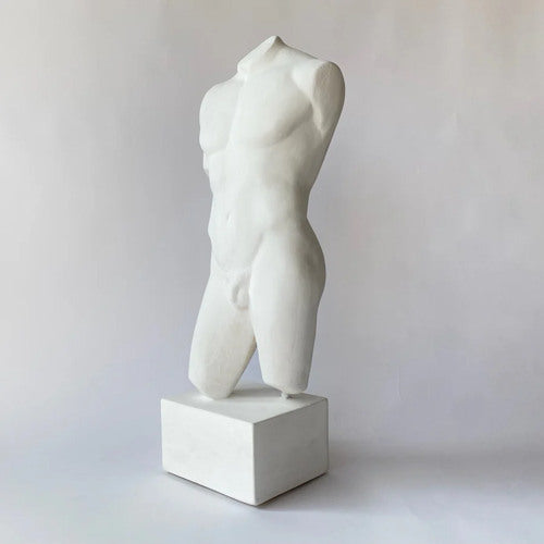 Drawing Study of Male Nude Art Work Torso Artist Cast for shadows and form