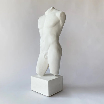 Drawing Study of Male Nude Art Work Torso Artist Cast for shadows and form