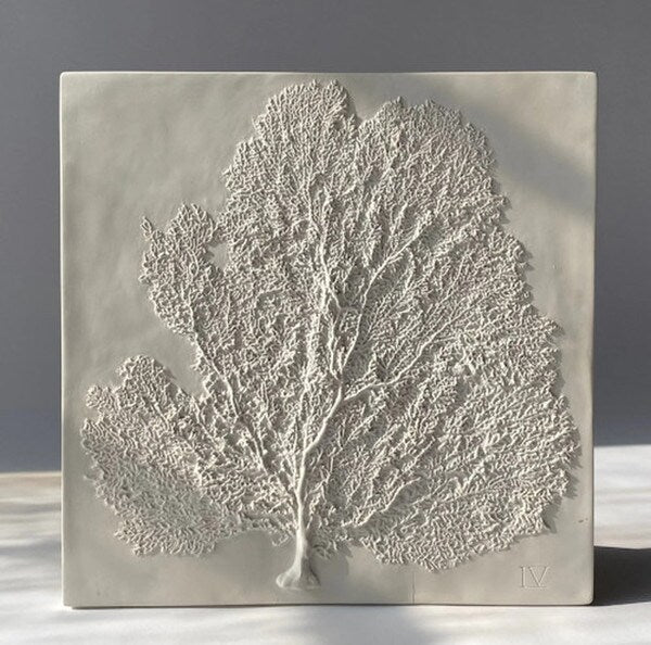 Coastal dÃ©cor Sea Fan Wall Plaques Reproduction Hanger on Back Statue