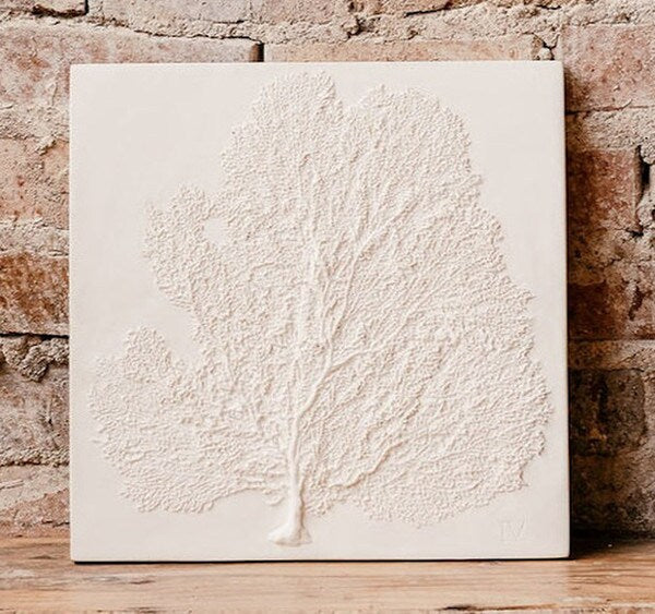 Coastal dÃ©cor Sea Fan Wall Plaques Reproduction Antique specimen