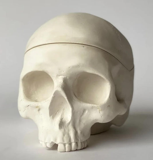 Memento Mori Skull Box Sculpture
