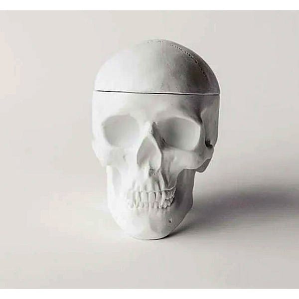 Human Skull Replica Sculptural Box Statue
