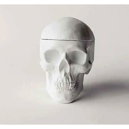 Human Skull Replica Sculptural Box Statue