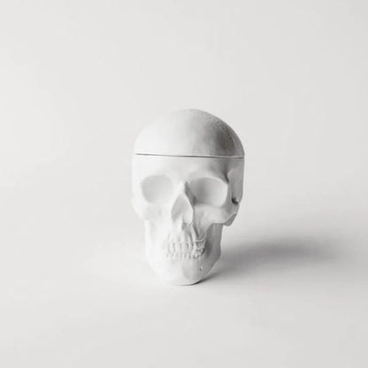 Human Skull Replica Sculptural Box Statue