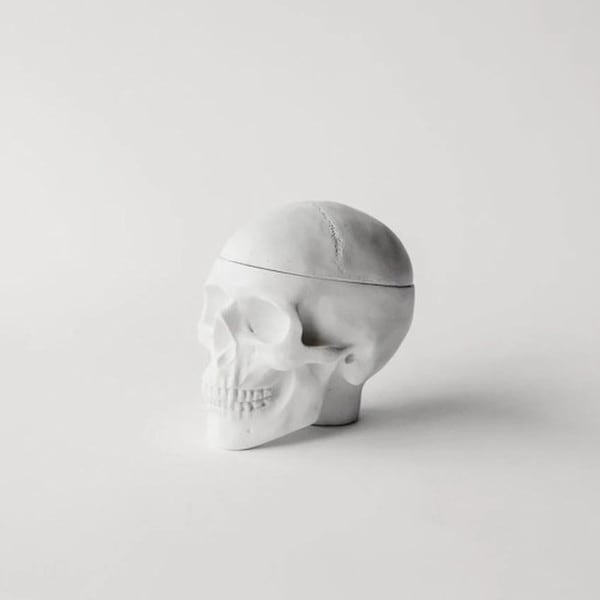 Human Skull Replica Sculptural Box Statue