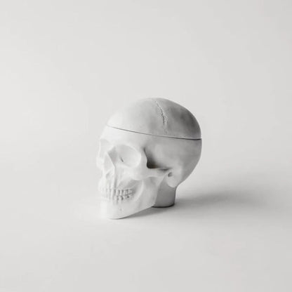 Human Skull Replica Sculptural Box Statue