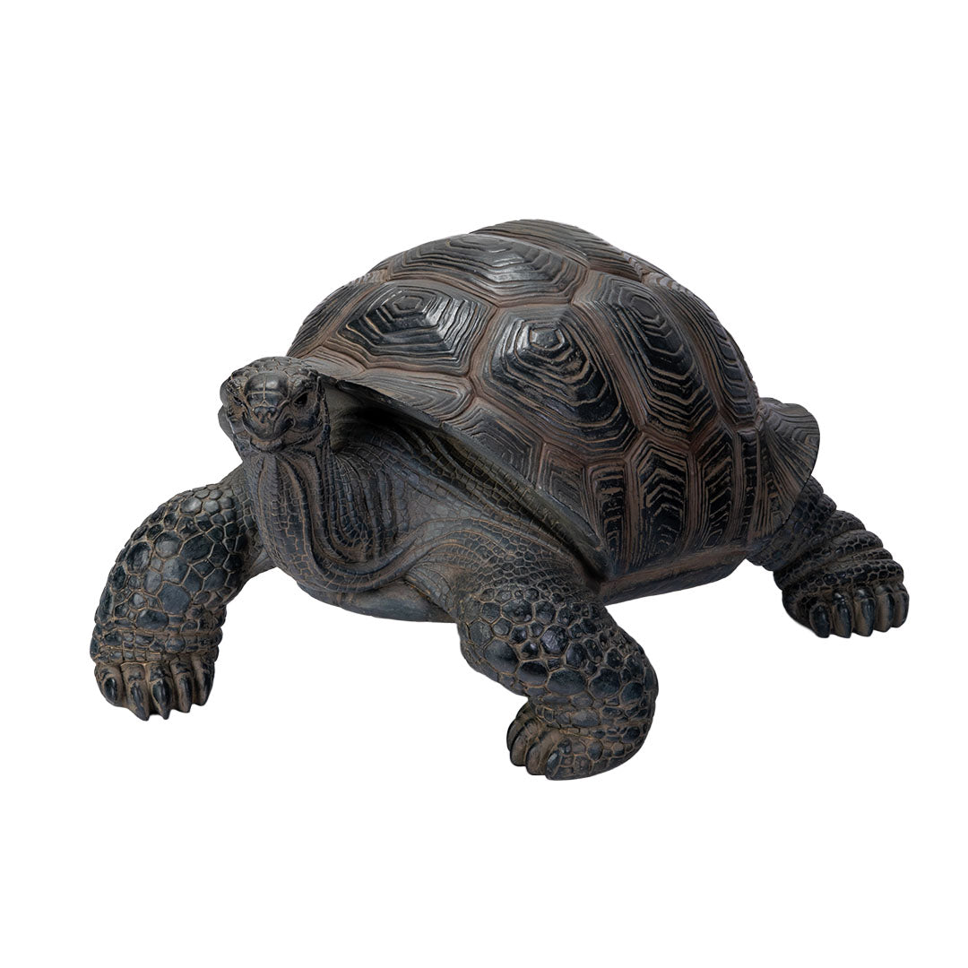 Close up Tortoise turtle garden sculpture with realistic shell detail