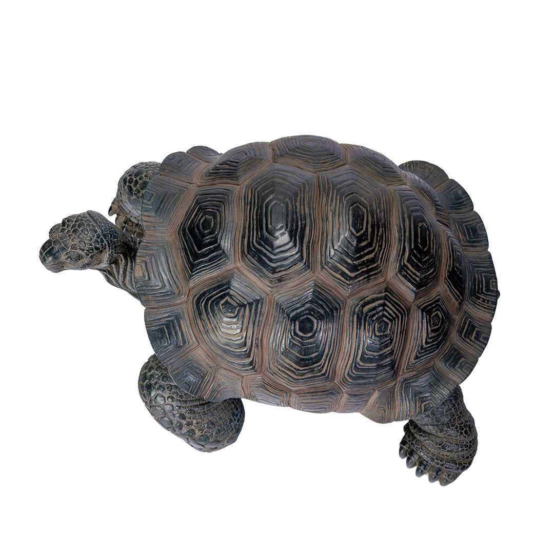 Top view of outdoor display Tortoise turtle garden sculpture with realistic shell detail