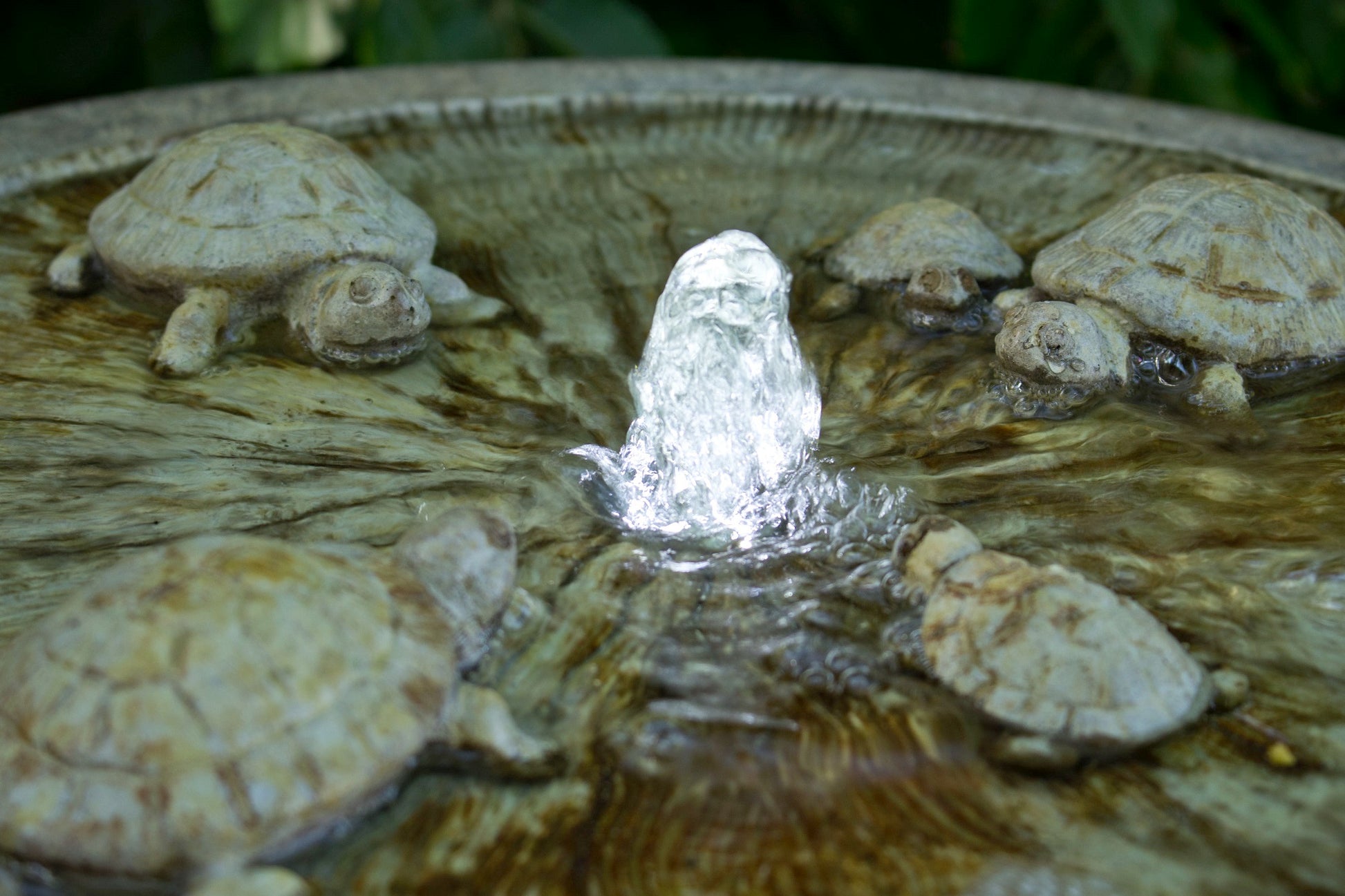 Close up Wildlife turtle water feature with self-contained bubbling flow