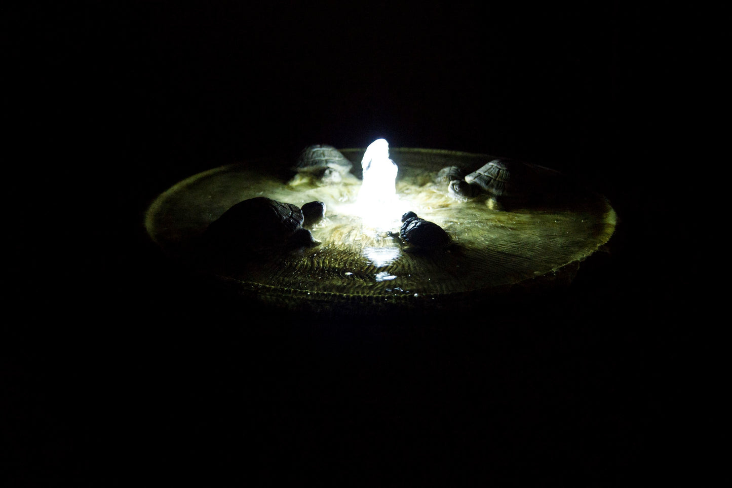 Lighted cast stone turtle bubbler fountain for peaceful landscapes