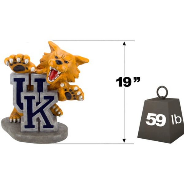 University of Kentucky Wildcat Mascot Statue in Team Colors shows the weight  and the size
