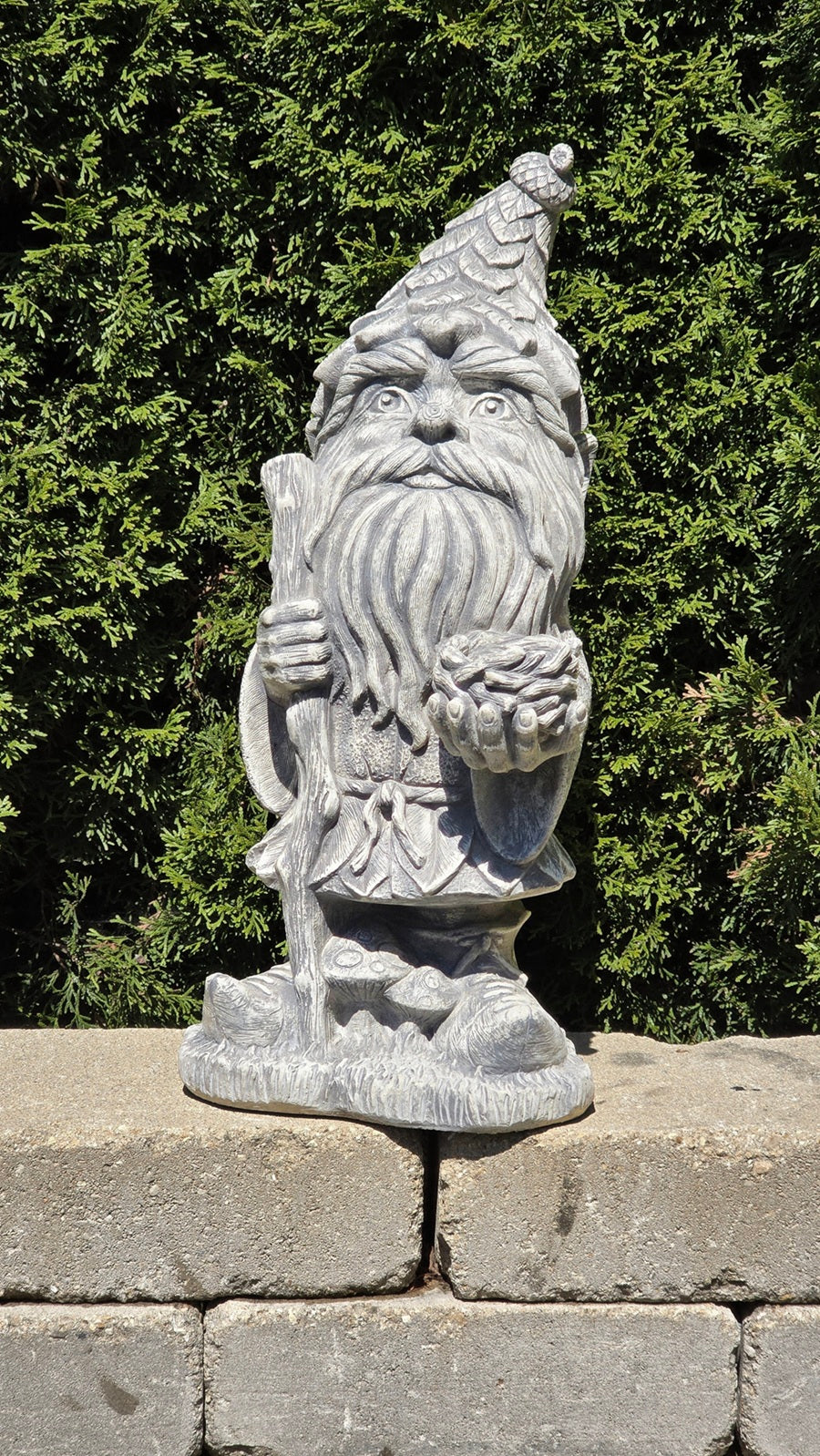 A gray stone gnome garden statue with a long beard, pointed hat, and staff, standing on a stone ledge with a green hedge background.