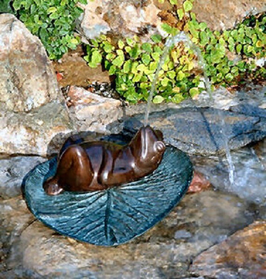 Darn Frog Bronze water feature for the garden