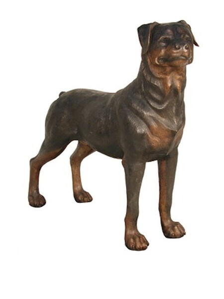 Aggressive Rottweiler Statue Rottweiler Life Size Bronze Statue | Statue.com