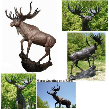 Moose Standing On A Rock Bronze Statue Life Size Garden Sculpture