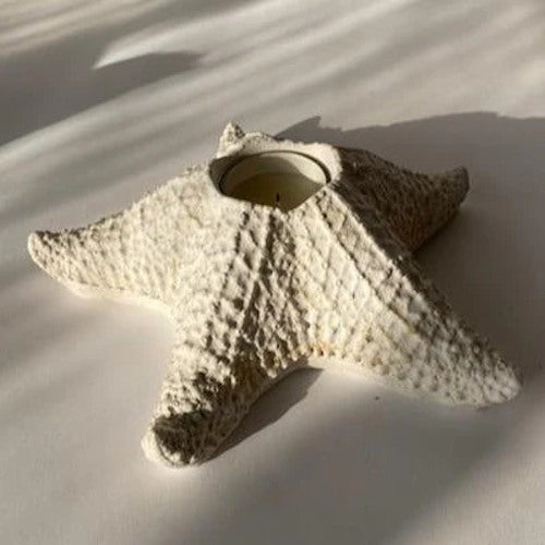 Starfish Candleholder Sculpture