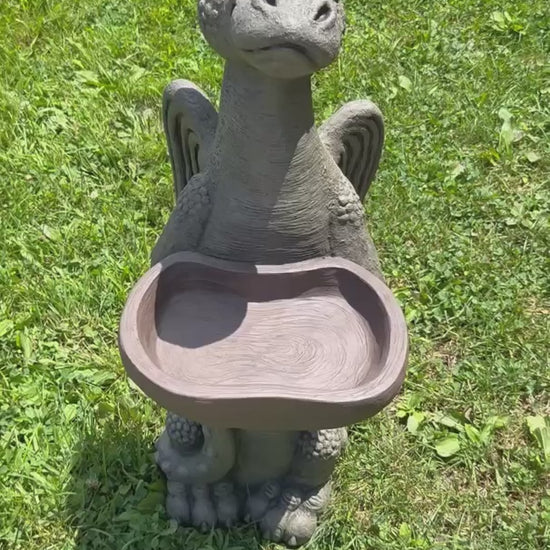 Video Add a Touch of Whimsy with the Grinsey Dragon Bird Bath viewed  from all sides