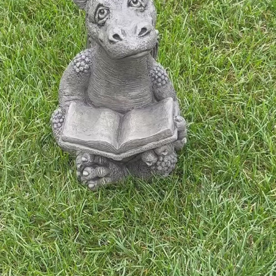 Video Booksy the Reading Dragon Cement Statue – Whimsical Garden Art