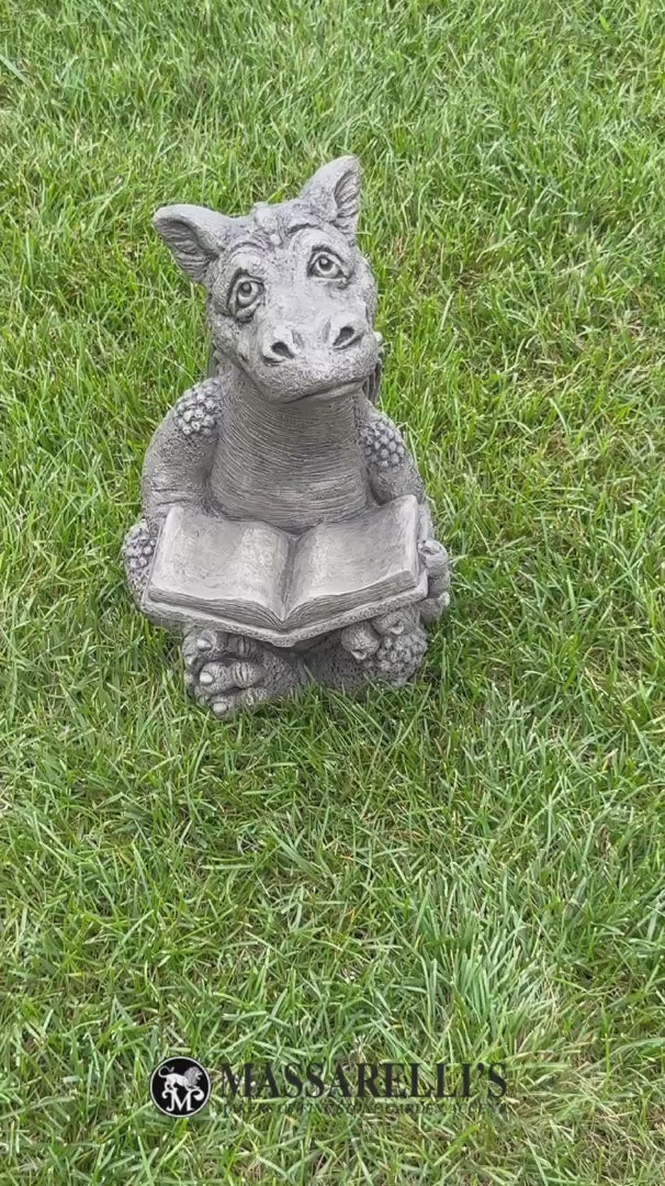 Video Booksy the Reading Dragon Cement Statue – Whimsical Garden Art