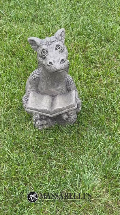 Video Booksy the Reading Dragon Cement Statue – Whimsical Garden Art