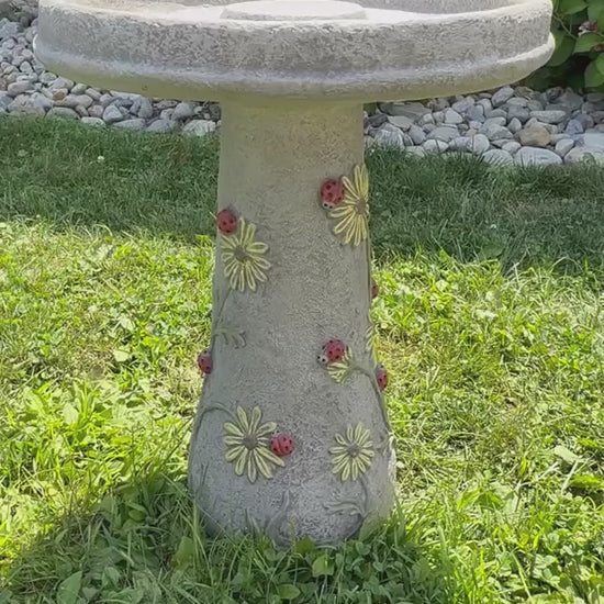 Video of Whimsical cement Ladybugs Bird Bath with floral reliefs made in America by Massarelli