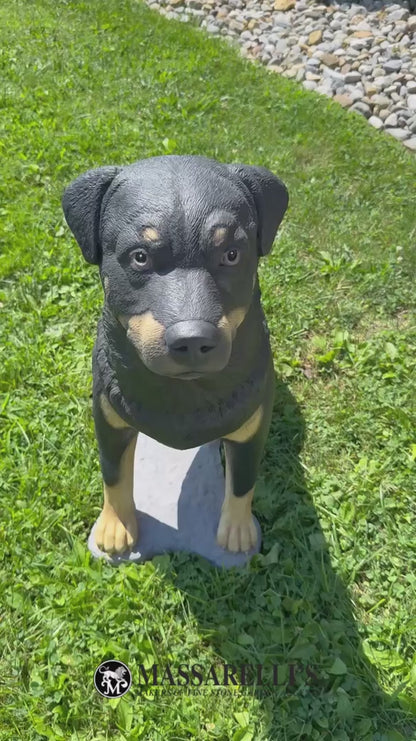 Video Life size Rottweiler pet memorial statue durable cast stone outdoor display