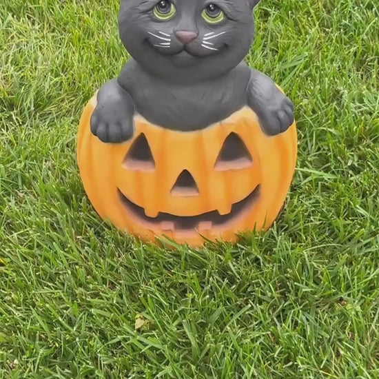 video of Black cat peeking over pumpkin cast stone sculpture