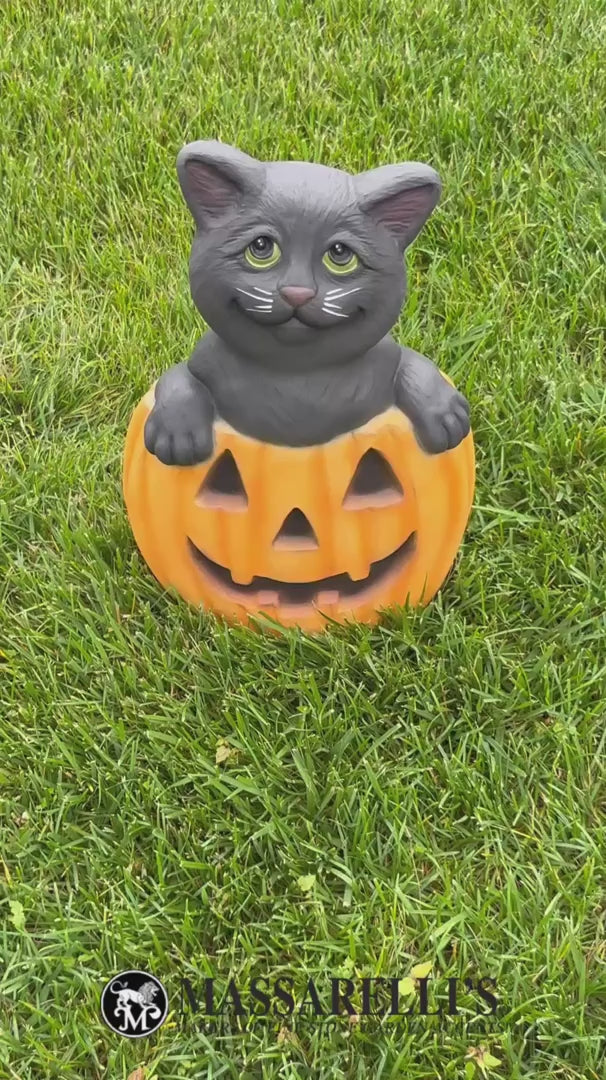video of Black cat peeking over pumpkin cast stone sculpture
