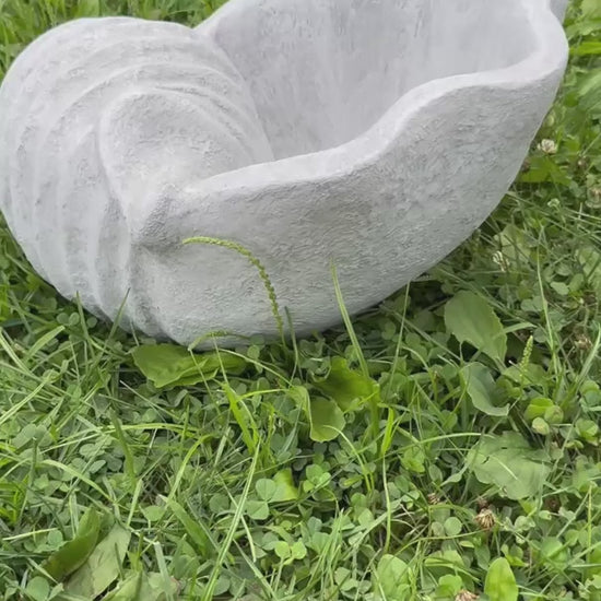 video Nautical shell planter with spiral detail showing drain hole