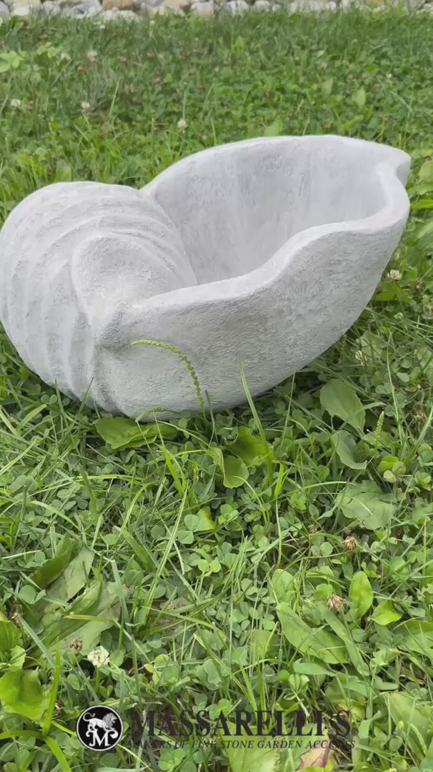 video Nautical shell planter with spiral detail showing drain hole