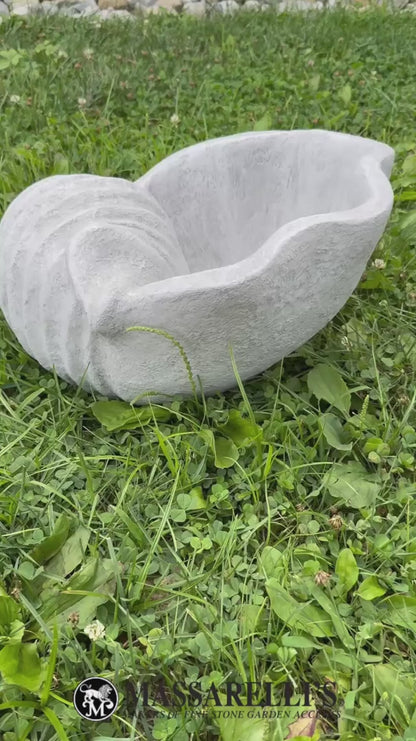 video Nautical shell planter with spiral detail showing drain hole